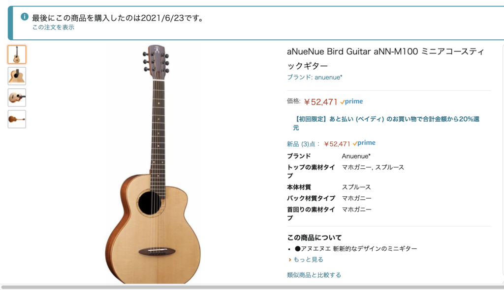 価格間違い？激安！aNueNue Bird Guitar aNN-M100 - アコギ COVER